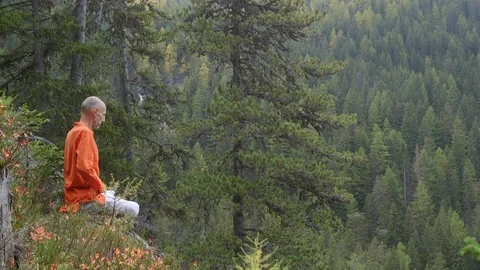 Meditation over the forest Stock Footage 124554935