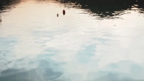 Meditation POND REFLECTION Stock Footage 87979593