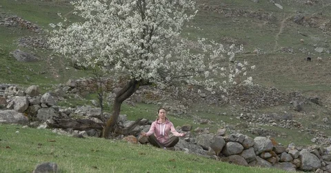 Meditation under a flowering tree Stock Footage 75464122