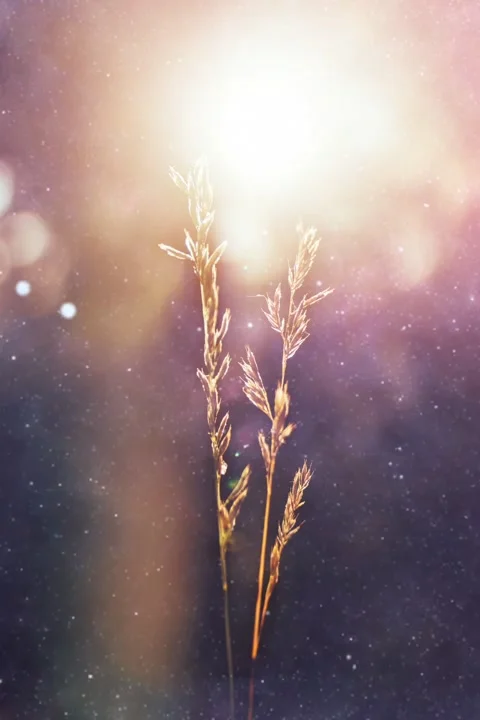 Meditation video- Finding hope Stock Footage 141234537