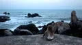 A meditative and romantic blonde girl relaxing waching the sea HD Footage