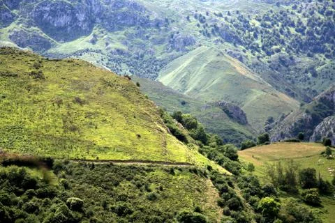Meditative landscape Foto stock