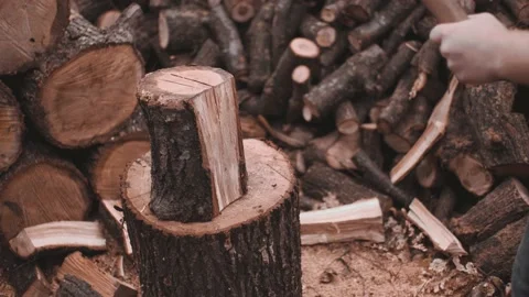 Meditative process of logging in autumn at country. Stock Footage 142109010