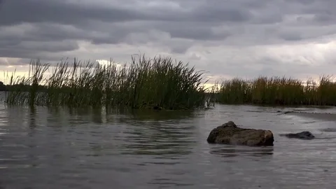 Meditative recreation on the river. Stock Footage 70170601