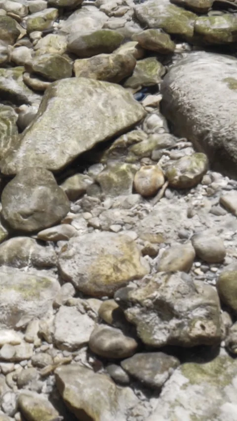 Meditative stream scene with clear water rippling over polished stones and lu Stock Footage 308306330