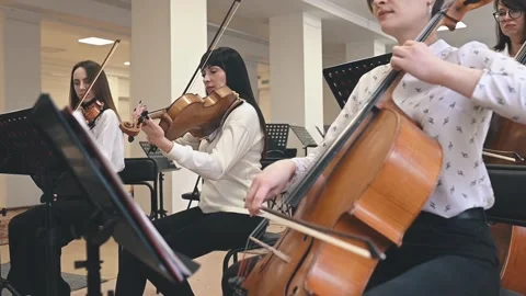Meditative string melodies enhance focus and relaxation. Delicate soundscapes Stock Footage 305548883