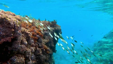 Mediterranean 10 - 4K - ProRes Stock Footage 156972036