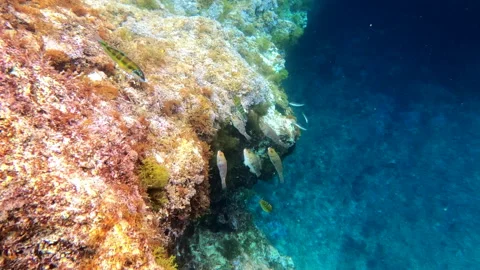 Mediterranean 11 - 4K - ProRes Stock Footage 156972895