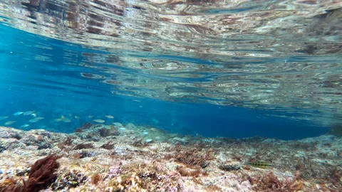 Mediterranean 4 - 4K - ProRes Vídeos de archivo 156175705