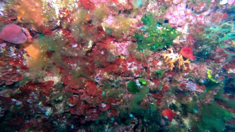 Mediterranean 7 - 4K - ProRes Stock Footage 156539313