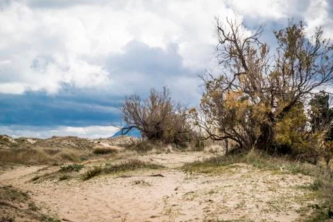 Mediterranean beach 스톡 사진