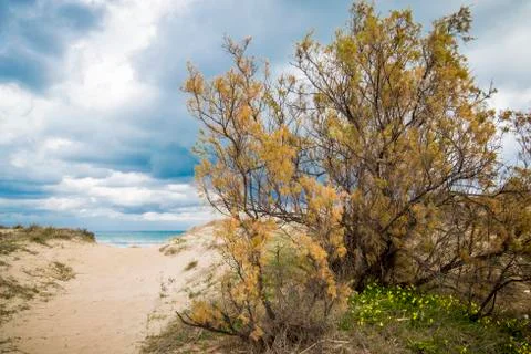 Mediterranean beach Stock Photos