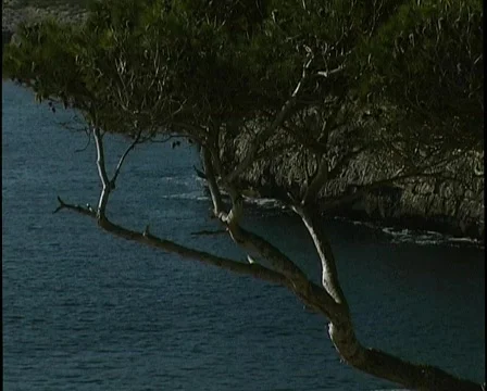 Mediterranean coast Stock Footage 141625
