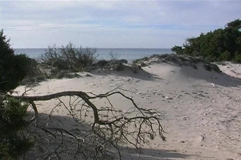 Mediterranean coast Stock Footage 398423