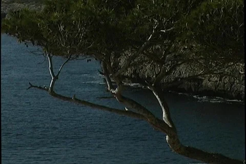 Mediterranean coast Stock Footage 398468