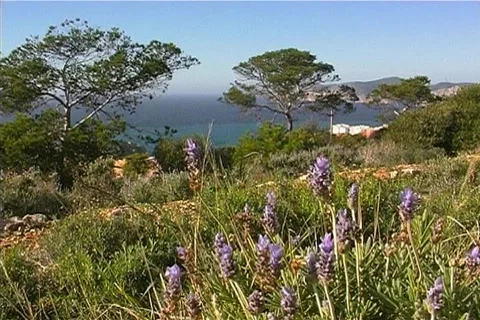 Mediterranean coast Stock Footage