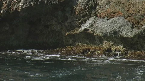 Mediterranean coast Stock Footage 3989870