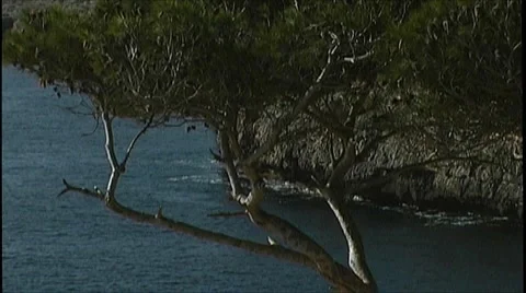 Mediterranean coast Stock Footage 3994373