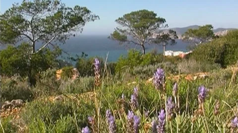 Mediterranean coast Stock Footage 3997541