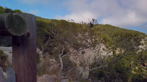 Mediterranean coast forest Video stock 159969907