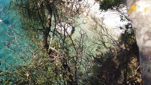 Mediterranean Coast view through the trees on the Glyko beach Corfu and small Stock Footage 123352833