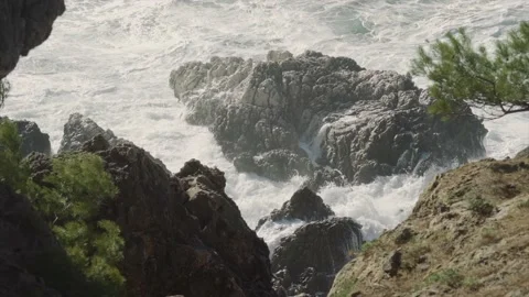 Mediterranean coastal rocks splashed by rough seas with pine trees in foregro Stock Footage 168776004