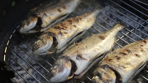 Mediterranean fish on charcoal grill Stock Footage