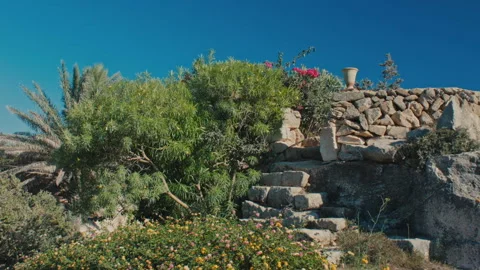 Mediterranean garden Stock Footage 147354579