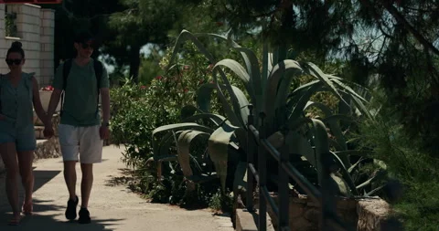 Mediterranean Garden Path with Agave Plants Video stock 336932504