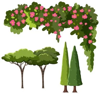 Mediterranean Garden Vector Set with Cypress Trees and Flowering Bougainville イラスト素材