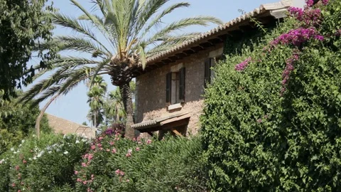 Mediterranean house and trees Stock Footage 128252172