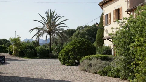 Mediterranean house with palm tree Stock Footage 128252227