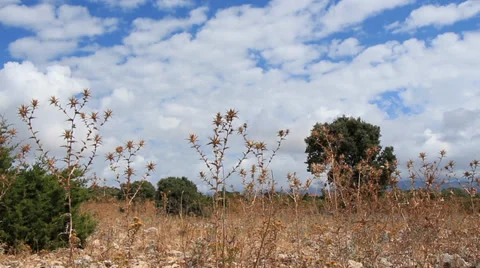 Mediterranean landscape Stock Footage 33220302