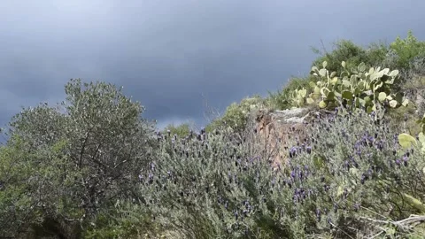 Mediterranean landscape Video stock 151296272