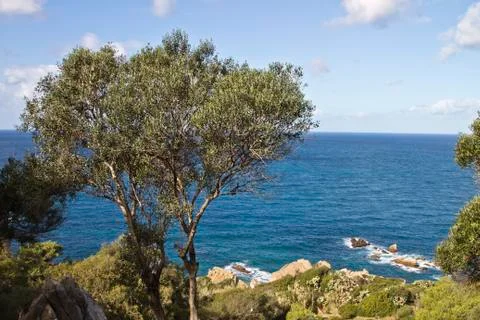 Mediterranean landscape Foto stock