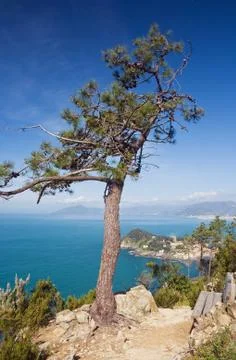 Mediterranean landscape Stock Photos