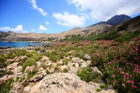 Mediterranean landscape Stock-Fotos