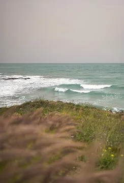Mediterranean landscape in spring Stock Photos