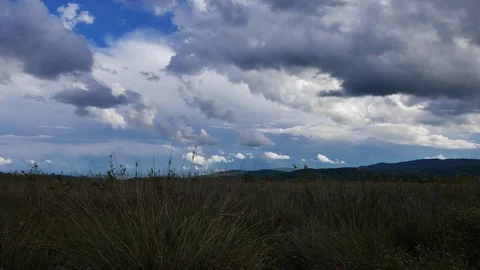 Mediterranean Meadows in the Spring (Time Lapse) Video stock 85197204
