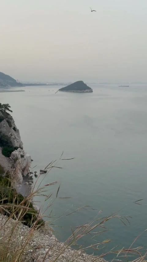 Mediterranean nature. Antalya Stock Footage 308971686
