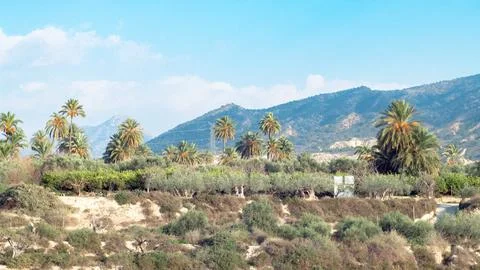 Mediterranean Oasis Stock Photos