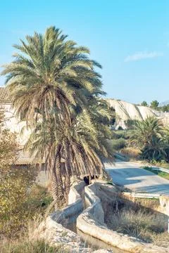 Mediterranean Oasis Stock Photos