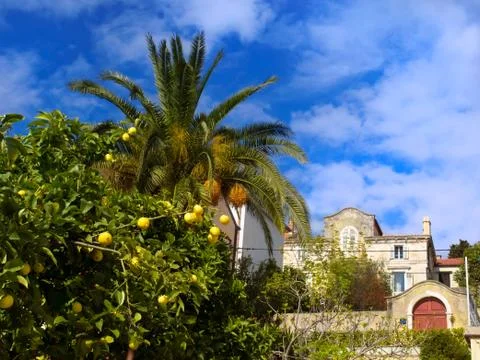 Mediterranean Stock Photos