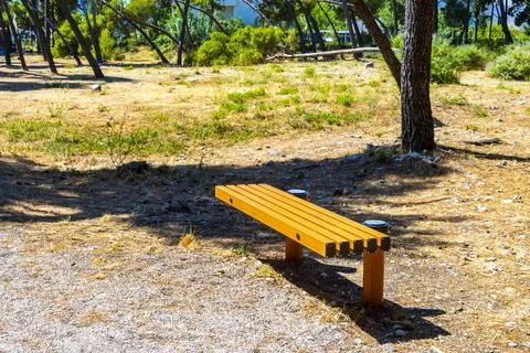 Mediterranean Pine Forest Beach Coast Park Bench Landscape Bar Montenegro. Stock Photos