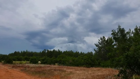 Mediterranean Pine Forests (Time Lapse) Stock Footage 77051029
