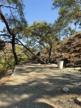 Mediterranean Pine Landscape with Path and Trash Can Stock Photos