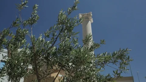 A mediterranean portrait of an olive tree and an ancient greek column behind it, Stock Footage 100597927