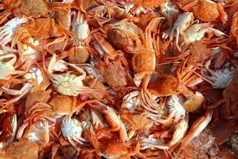 Mediterranean red crab pattern seafood texture 스톡 사진