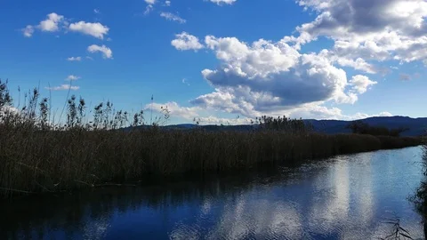 Mediterranean Rivers in Autumn Stock Footage 84868937