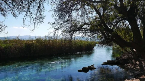 Mediterranean Rivers in Autumn Stock Footage 85197441